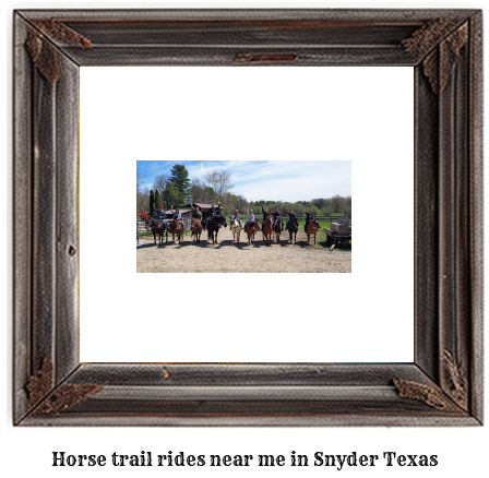 horse trail rides near me in Snyder, Texas